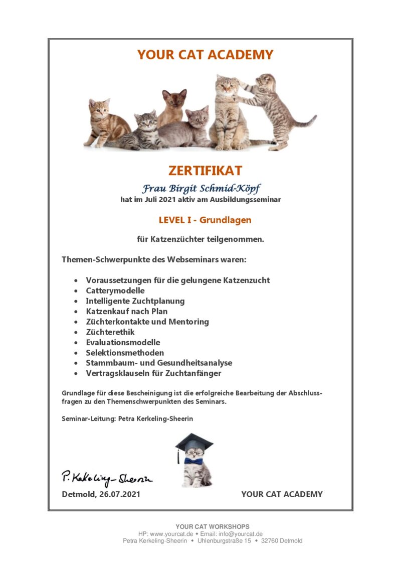 Zertifikat Level 1 - Your Cat Academy