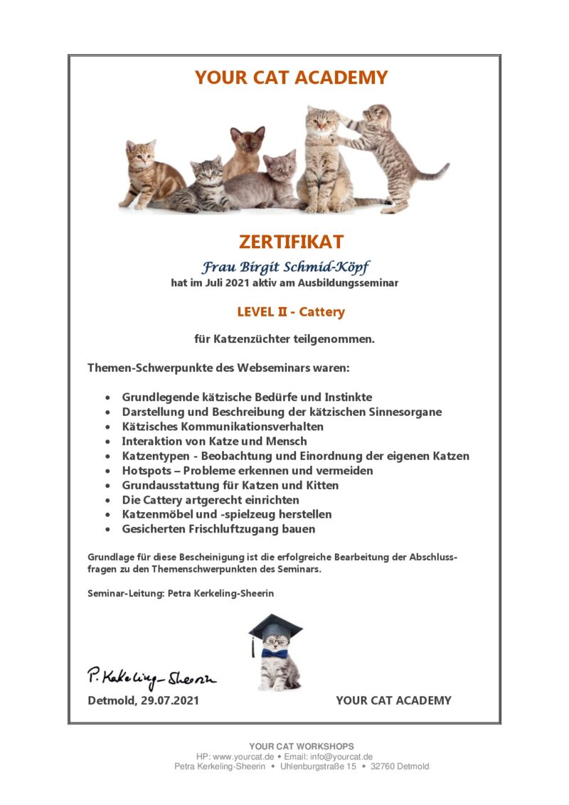 Zertifikat Level 2 - Your Cat Academy