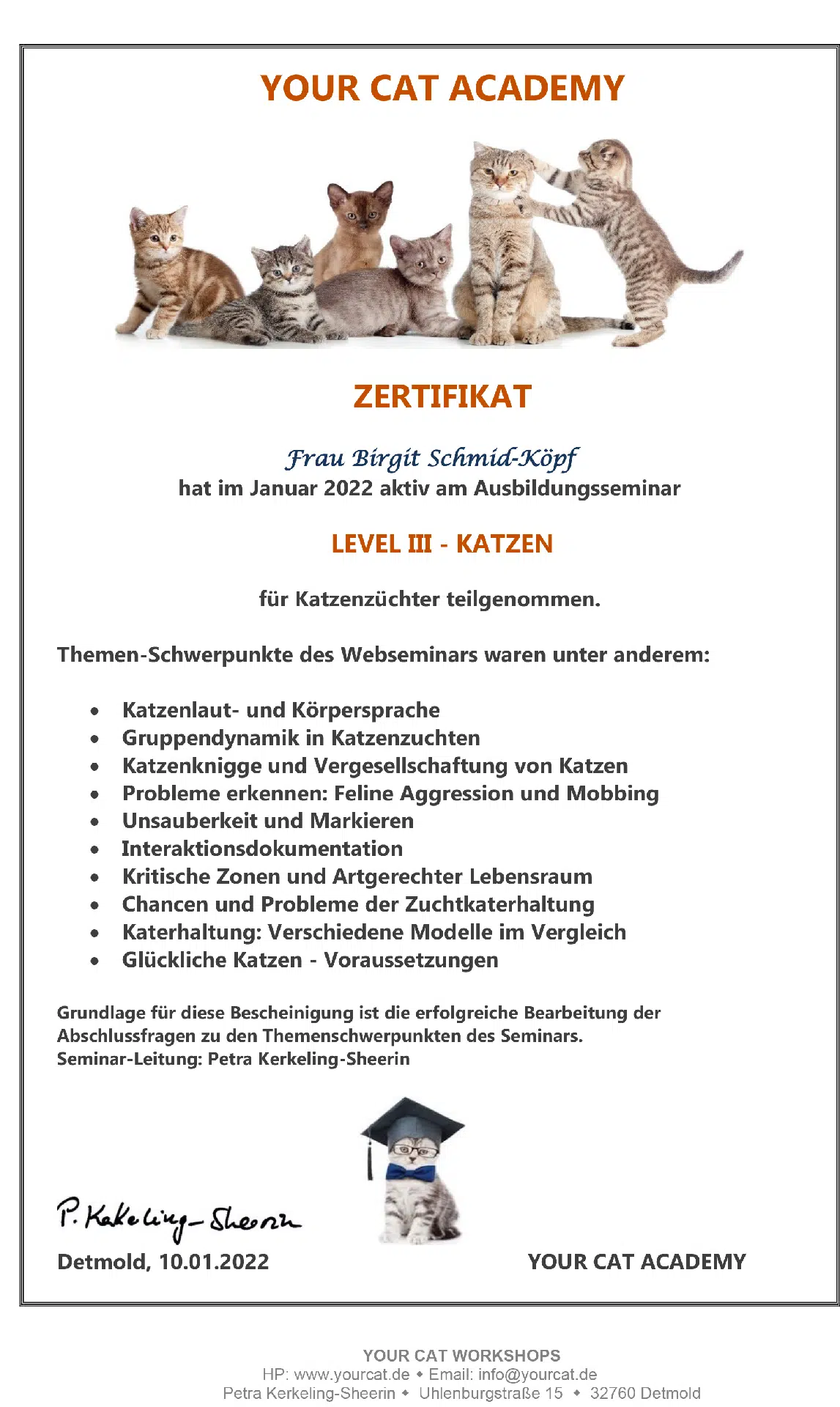 Zertifikat - Level 3 Katzen